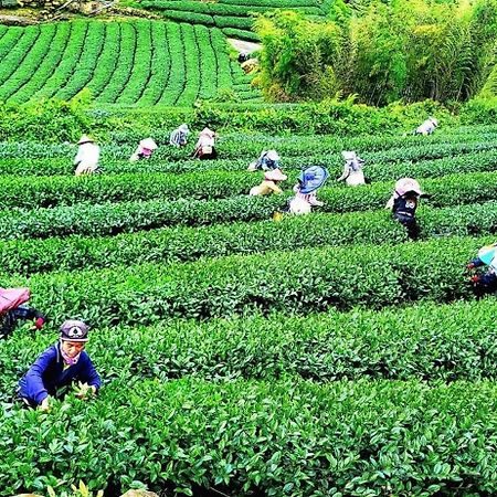 Tianyi Homestay 펀치후 외부 사진