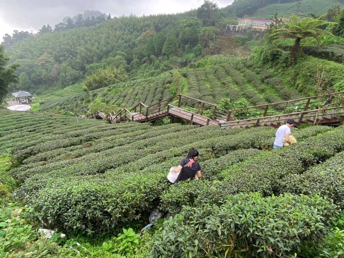 Tianyi Homestay 펀치후 외부 사진