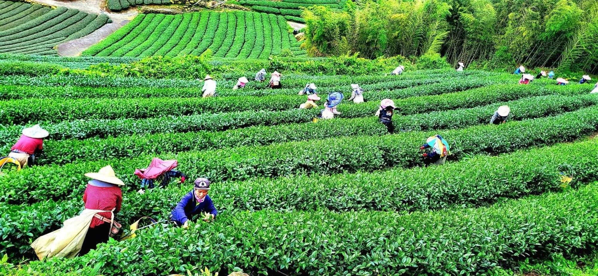Tianyi Homestay 펀치후 외부 사진